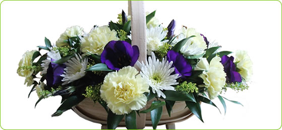 Arrangement