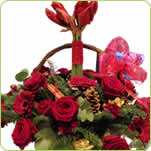 LUXURY AMARYLLIS BASKET - £65