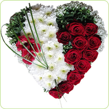 MODERN HEART TRIBUTE