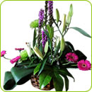 Flower Arrangements - Shotley Florist Ipswich