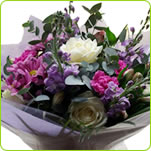 Spring Surprise